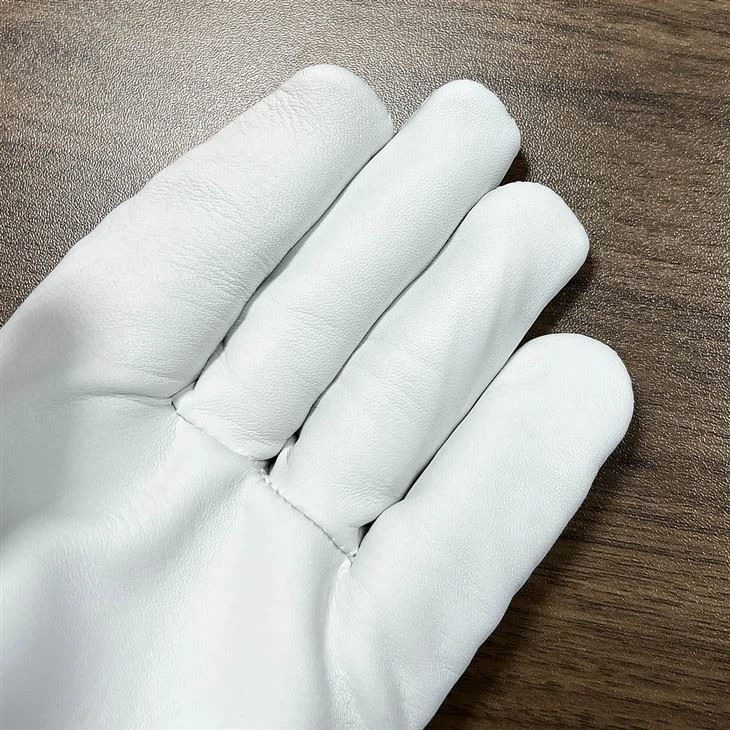 Garden Gloves Working Safety suppliers